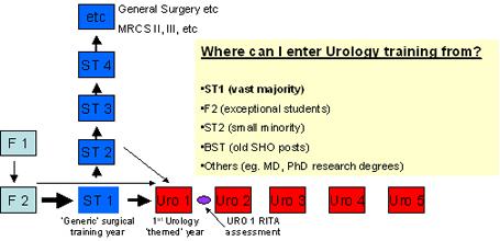 Urology career pathway